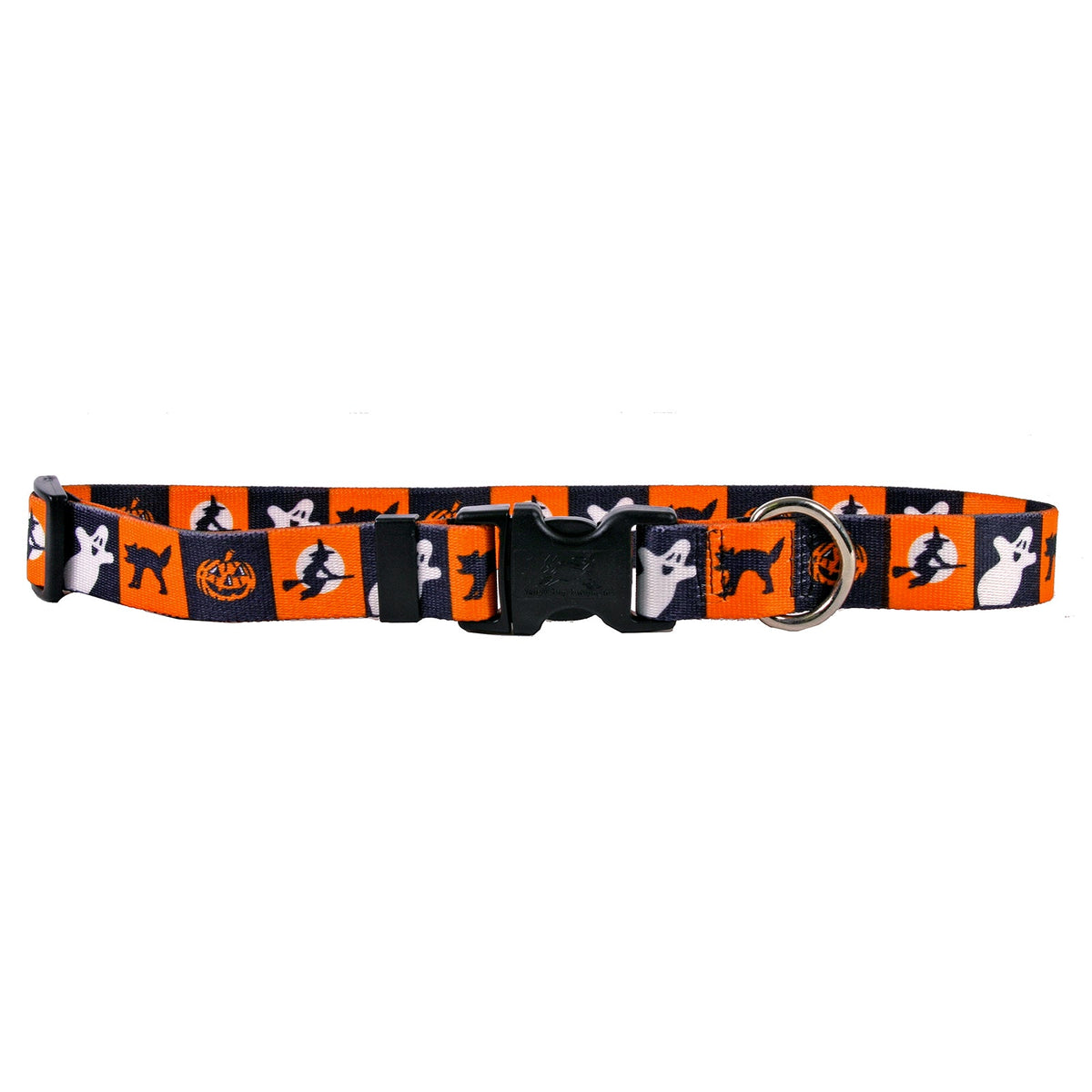 Pumpkin Patch Dog Collar