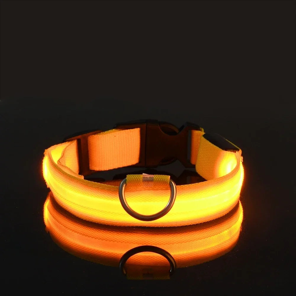 LED Nylon Dog Collar For Nighttime Safety Visibility