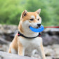 Cooling Puppy Teether Chew Toy With Treat Holder