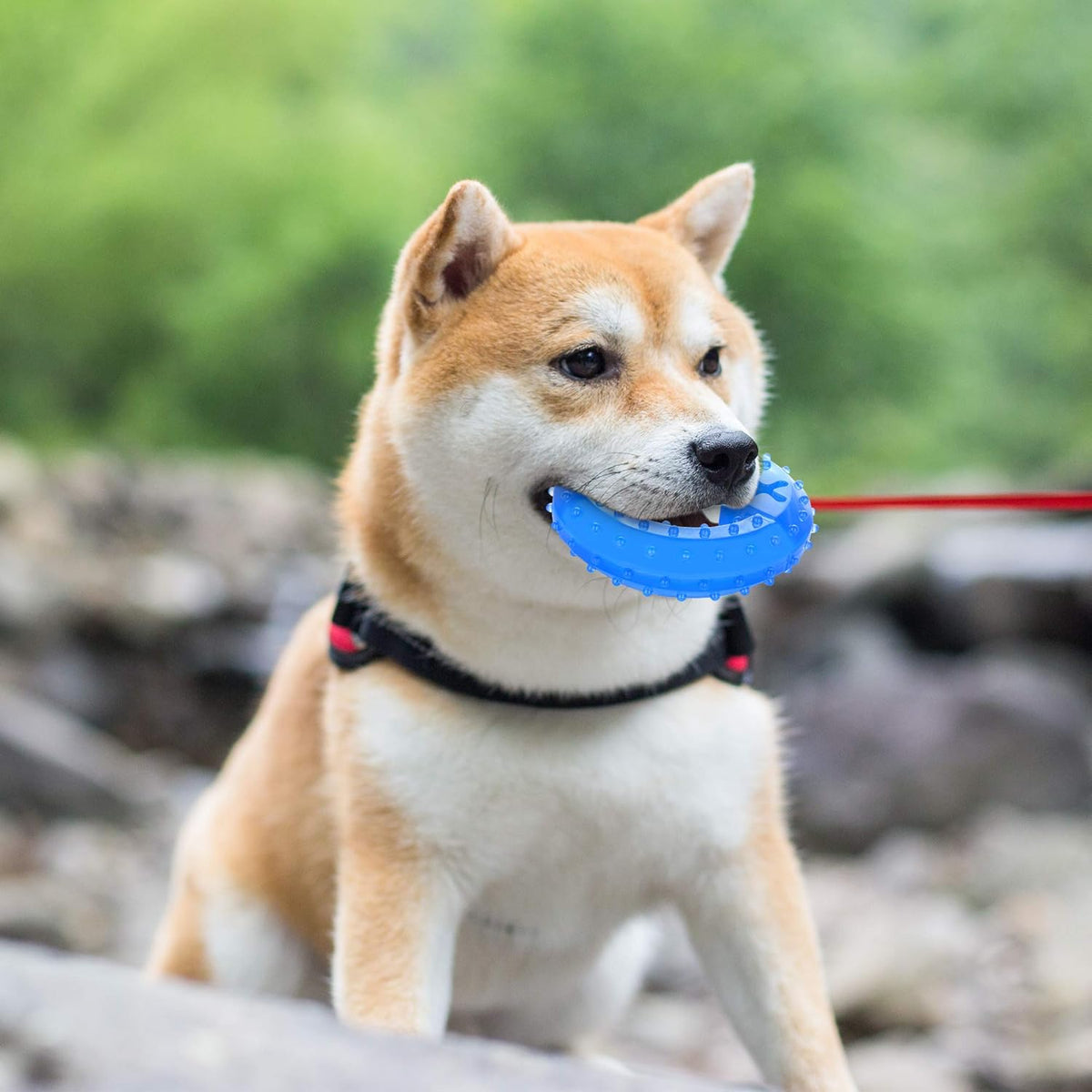 Cooling Puppy Teether Chew Toy With Treat Holder