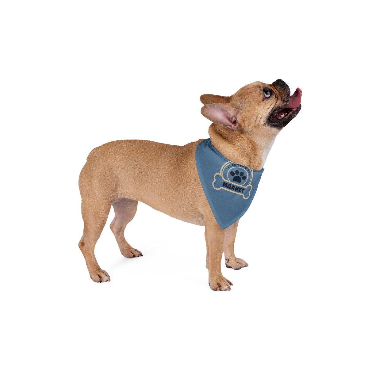 Everyday Pet Market Bandana