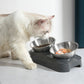 Stainless Steel Cat Dog Bowls With Elevated Stand