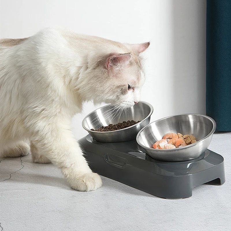 Stainless Steel Cat Dog Bowls With Elevated Stand