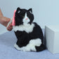 Silicone Small Pet Grooming Comb For Rabbits Chinchillas