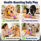 Rainbow Ice Cream Plush Squeaky Tug Dog Toy
