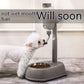 Non Wet Mouth Hanging Dog Water Dispenser
