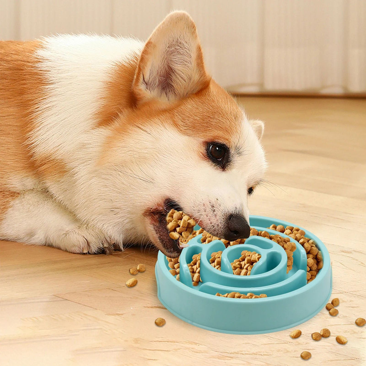 Non Slip Slow Feeder Bowl For Dogs Puppies