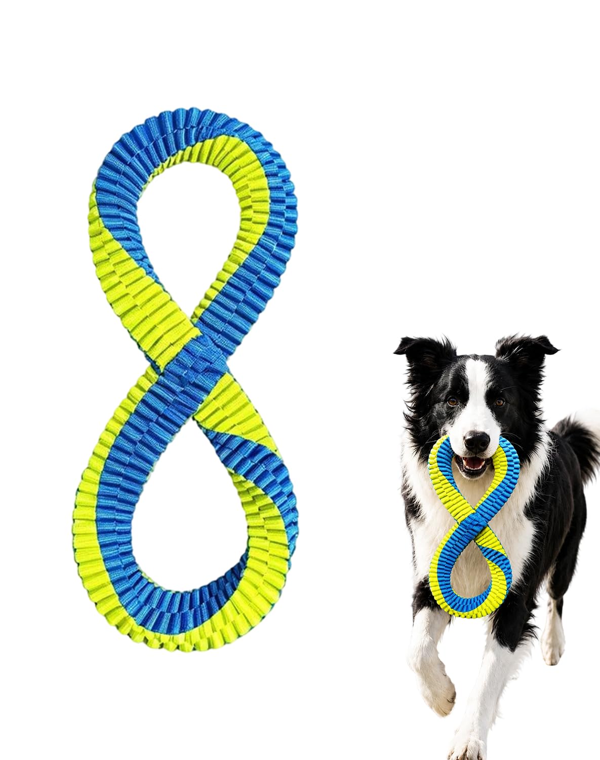 Textured Dental Tug Toy With Two Loop Design
