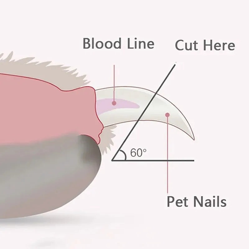 Donut Pet Nail Clippers With LED Light For