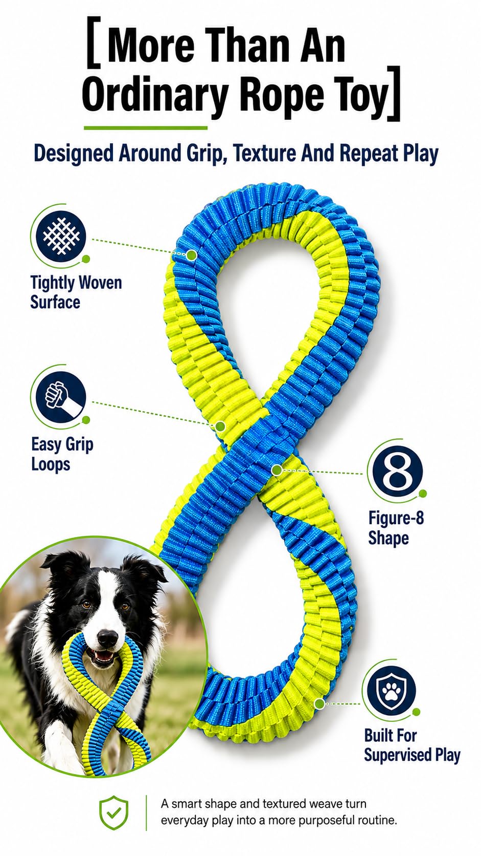 Textured Dental Tug Toy With Two Loop Design
