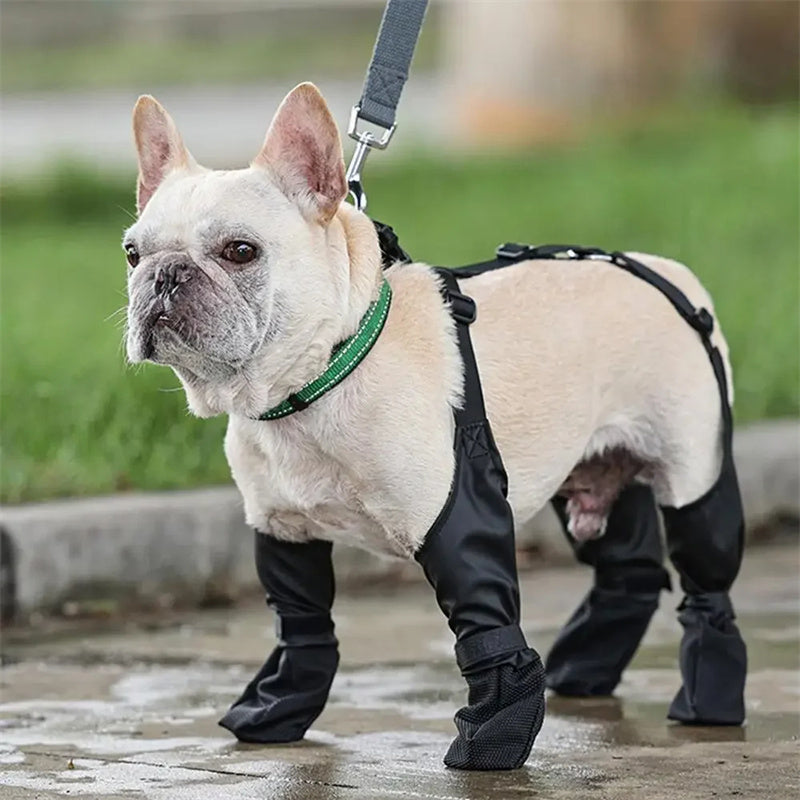 Waterproof Adjustable Dog Shoes For Outdoor Paw Protection