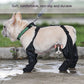 Waterproof Adjustable Dog Shoes For Outdoor Paw Protection
