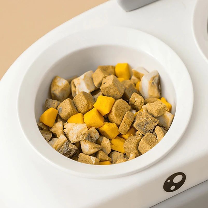 Duck Design Double Pet Bowls For Cats Dogs
