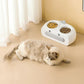 Duck Design Double Pet Bowls For Cats Dogs