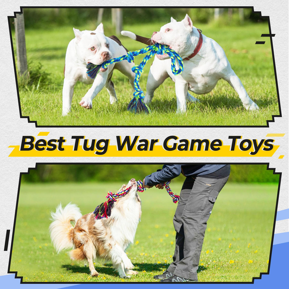 Tough Dog Rope Toy For Chewing Tugging Play