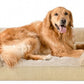 Waterproof Dog Bed With Removable Washable Cover