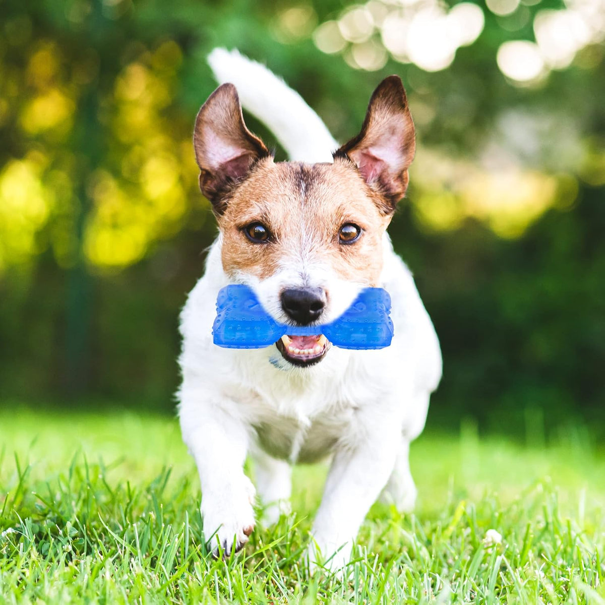 Cooling Puppy Teether Chew Toy With Treat Holder