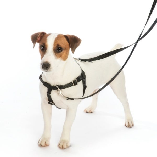 Mod Blue Freedom No-Pull Dog Harness – EarthStyle