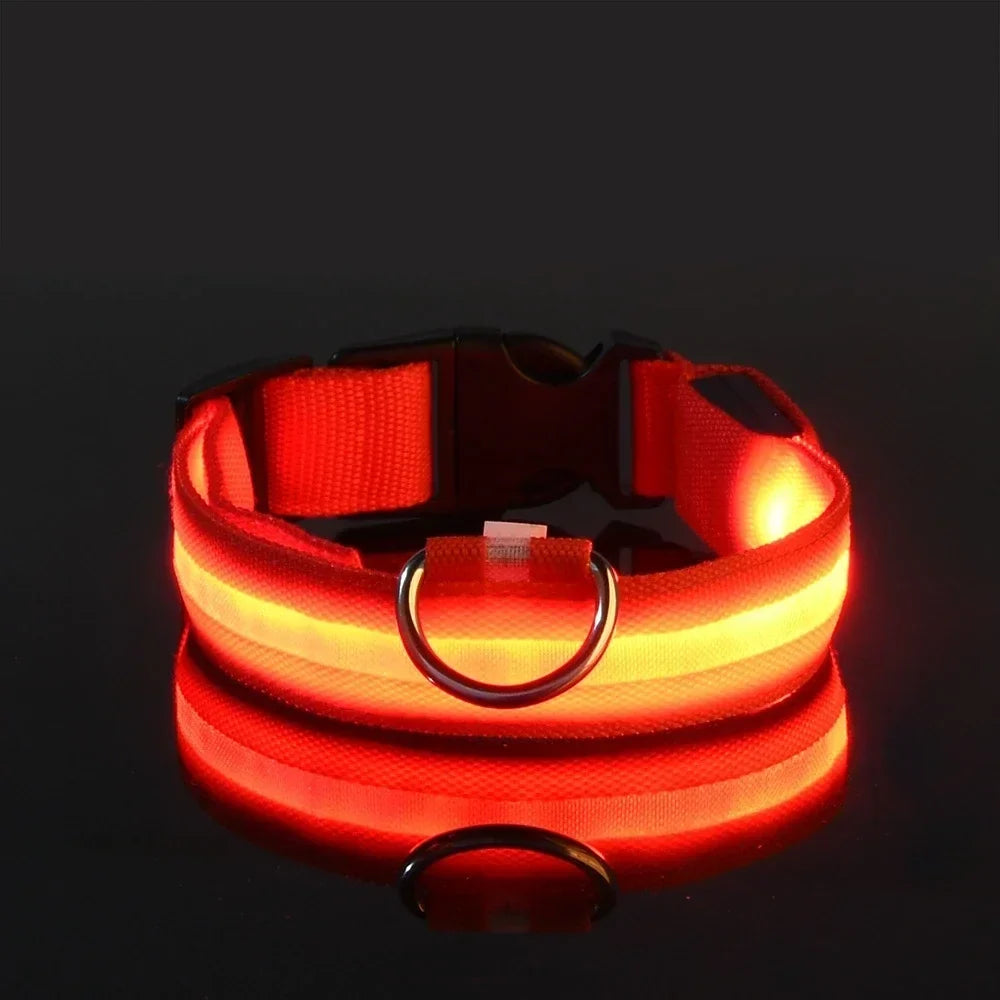 LED Nylon Dog Collar For Nighttime Safety Visibility