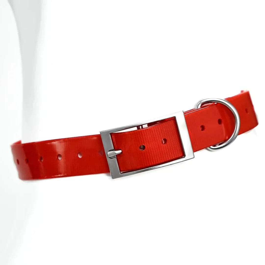 2.5cm Wide Waterproof TPU Dog Collar Adjustable Heavy