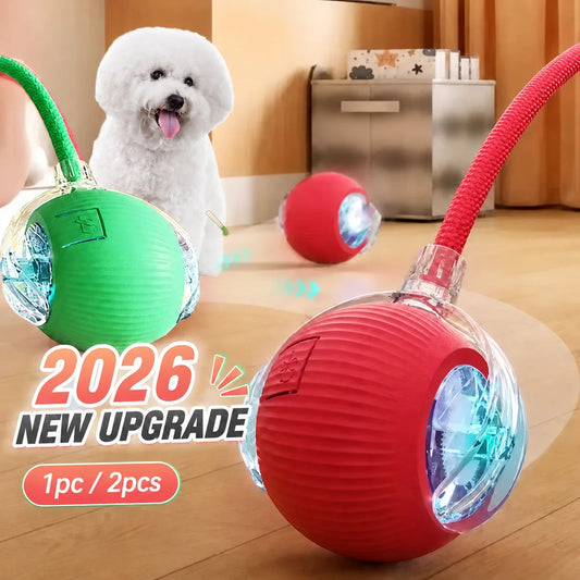 Rechargeable Automatic Rolling Smart Interactive Ball Toy Dogs
