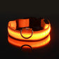 LED Nylon Dog Collar For Nighttime Safety Visibility