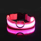 LED Nylon Dog Collar For Nighttime Safety Visibility