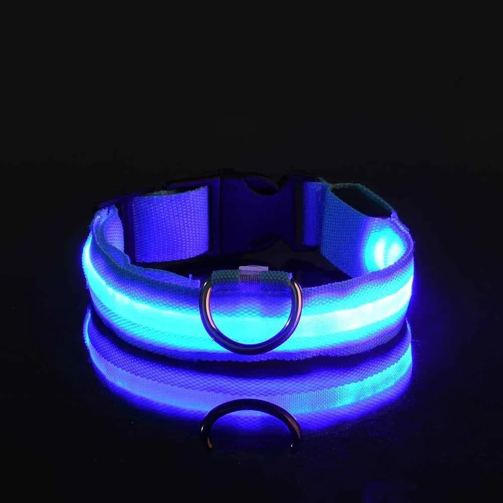 LED Nylon Dog Collar For Nighttime Safety Visibility