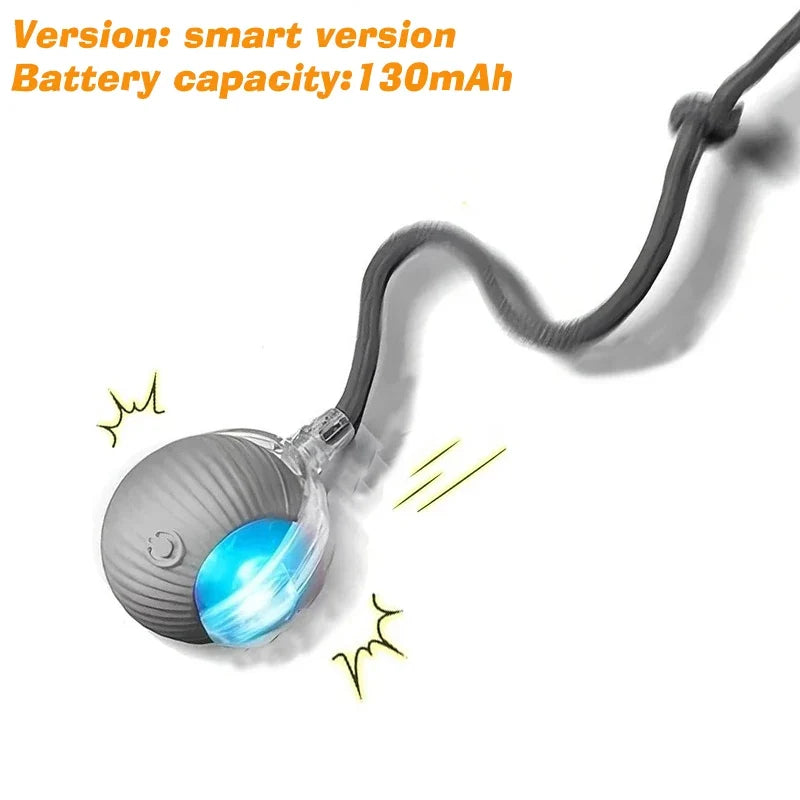 Rechargeable Automatic Rolling Smart Interactive Ball Toy Dogs