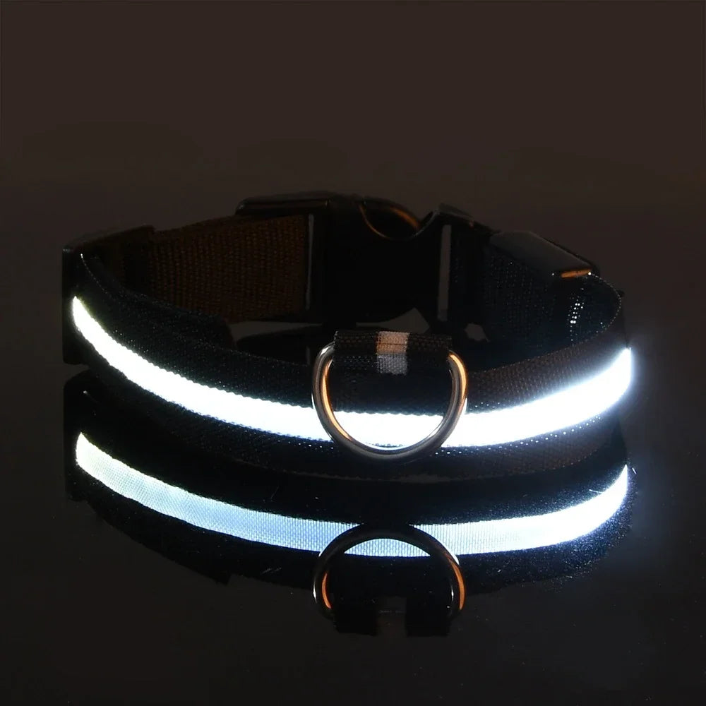 LED Nylon Dog Collar For Nighttime Safety Visibility