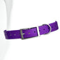 2.5cm Wide Waterproof TPU Dog Collar Adjustable Heavy