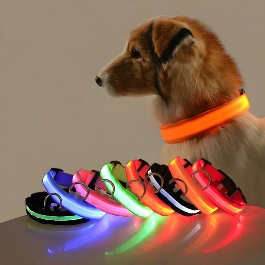 LED Nylon Dog Collar For Nighttime Safety Visibility
