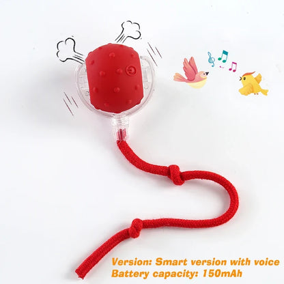 Rechargeable Automatic Rolling Smart Interactive Ball Toy Dogs