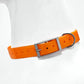 2.5cm Wide Waterproof TPU Dog Collar Adjustable Heavy