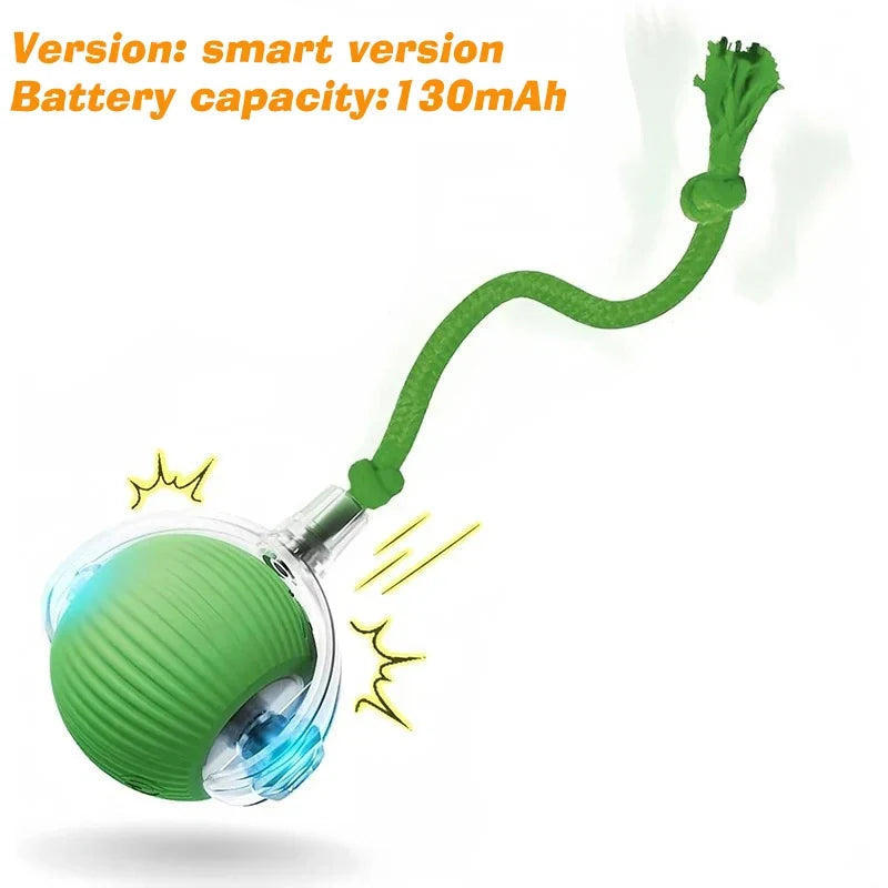 Rechargeable Automatic Rolling Smart Interactive Ball Toy Dogs