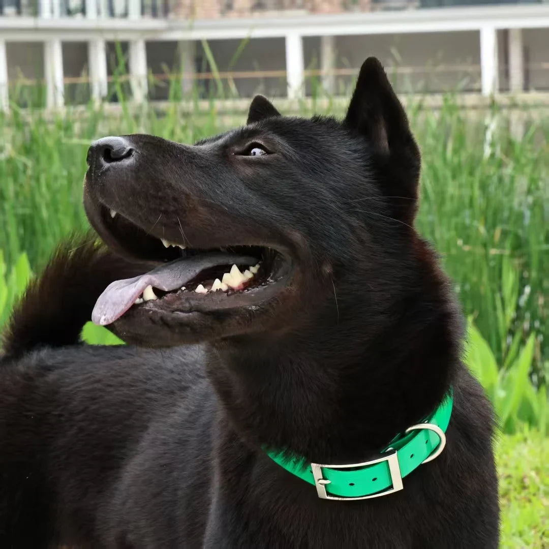 2.5cm Wide Waterproof TPU Dog Collar Adjustable Heavy