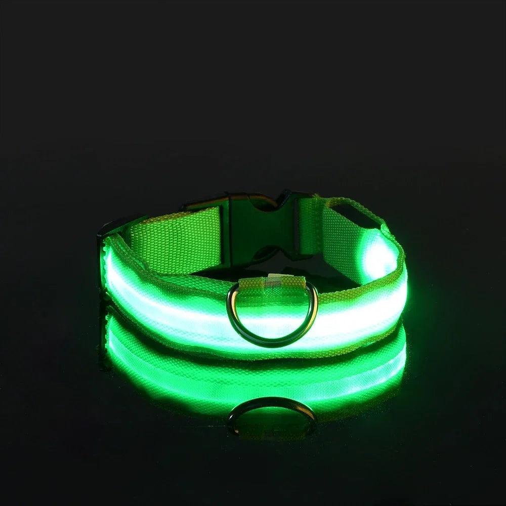 LED Nylon Dog Collar For Nighttime Safety Visibility