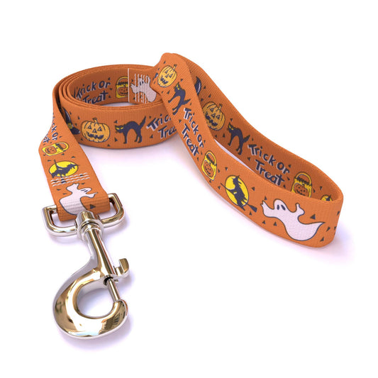 Trick or Treat Dog Leash