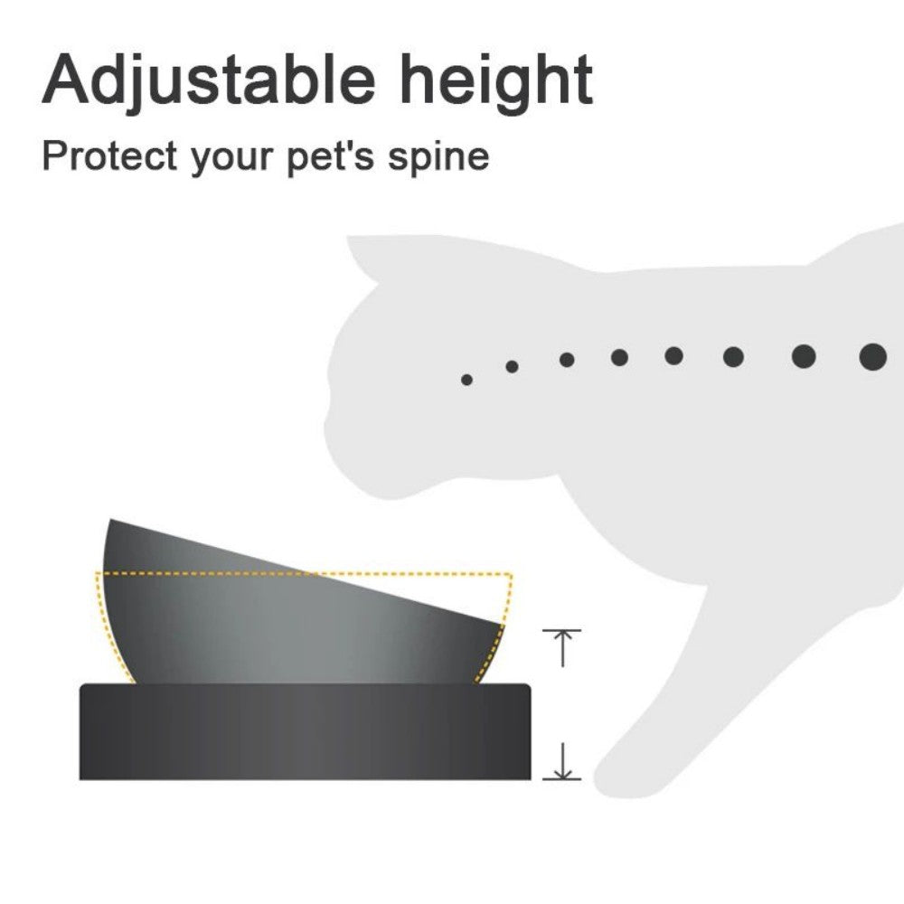 Stainless Steel Cat Dog Bowls With Elevated Stand