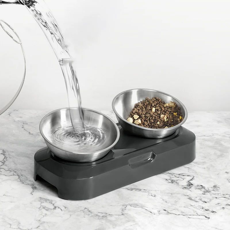 Stainless Steel Cat Dog Bowls With Elevated Stand