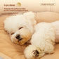 All Season Thickened Dog Bed For Home Use