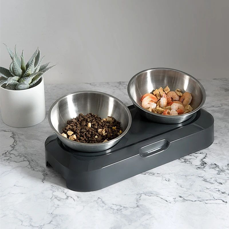 Stainless Steel Cat Dog Bowls With Elevated Stand