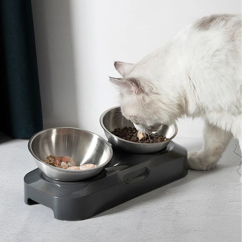 Stainless Steel Cat Dog Bowls With Elevated Stand