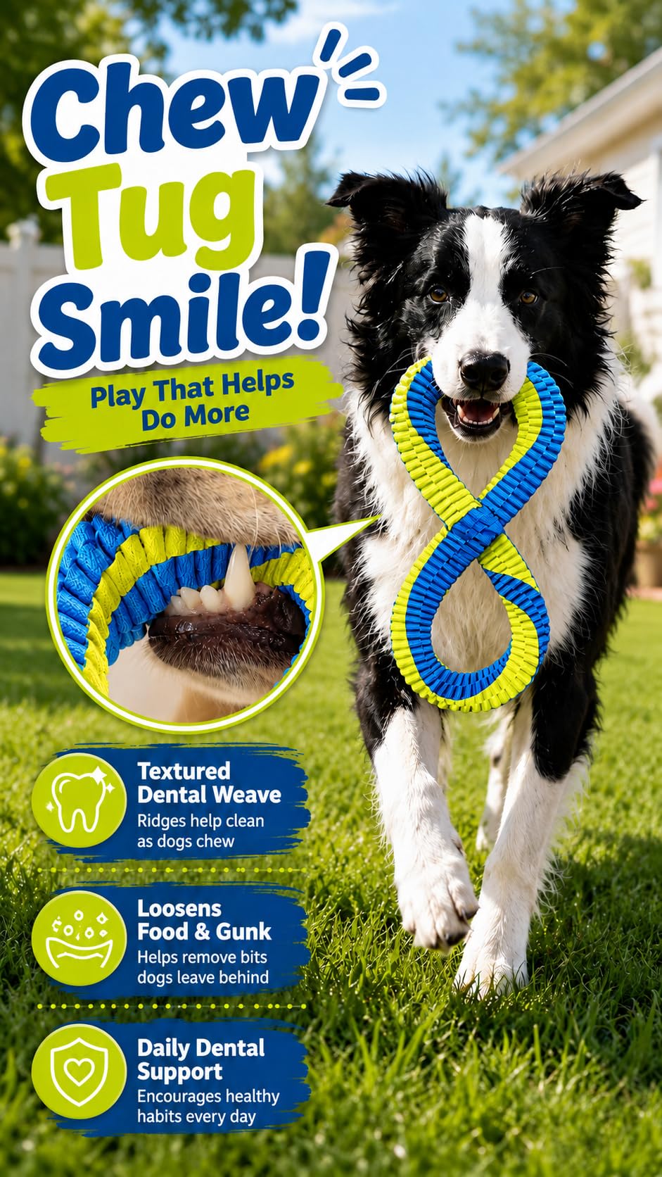 Textured Dental Tug Toy With Two Loop Design