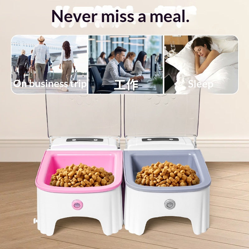 Automatic Cat Feeder Device For Scheduled Daily Meals