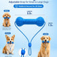 Dual Action Dog Dental Chew Toy Toothbrush