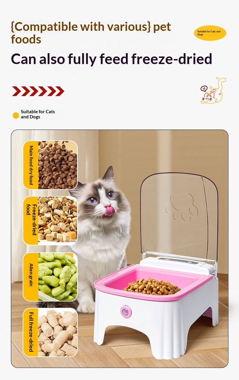 Automatic Cat Feeder Device For Scheduled Daily Meals